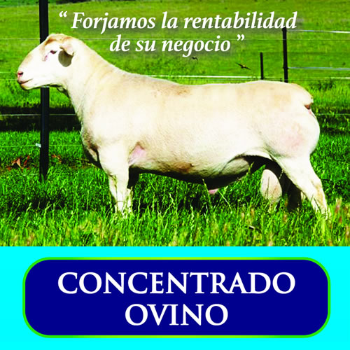 Concentrado Ovino