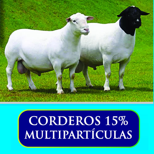 Corderos 15% multiparticulas