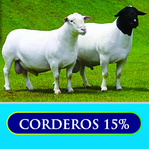 Corderos 15%