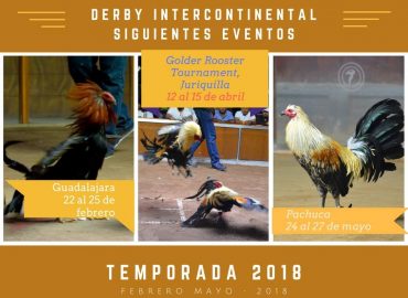 Derby Internacional Golder Rooster 2018