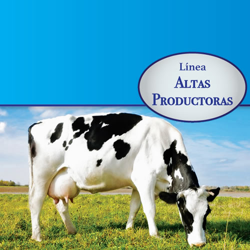 Lechero 20% Altas-Productoras