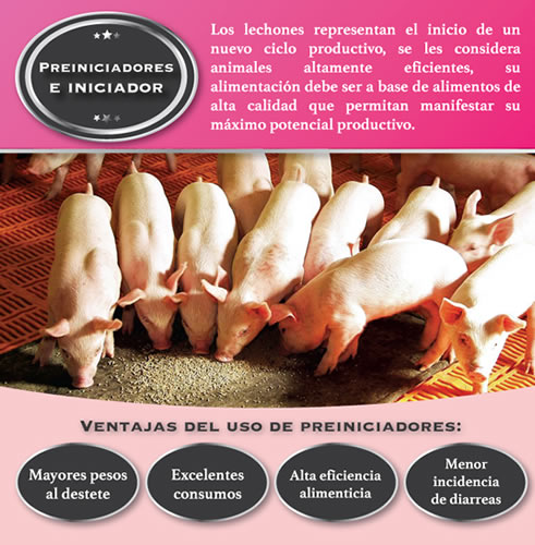 Reducción de precios Viaje Familiar Alimento para Cerdos 70/100 SOW - NutriSOW México